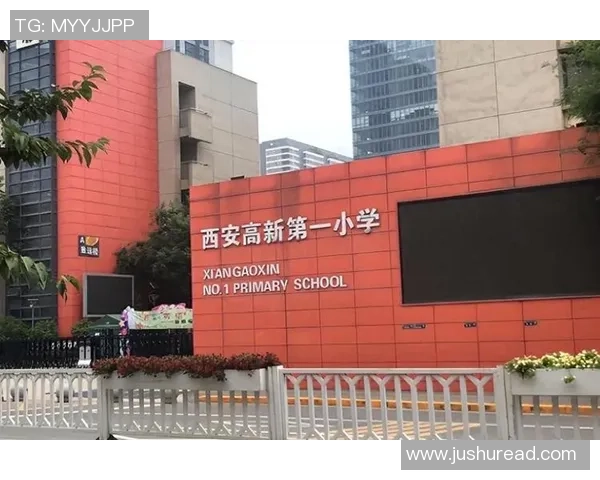 杭州排球队的崛起之路：从默默无闻到全国瞩目的成长历程