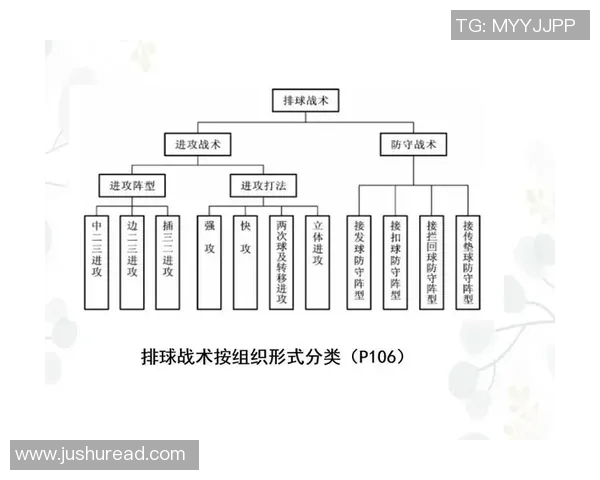 重庆排球队在锦标赛中的灵活性展现与战术调整分析
